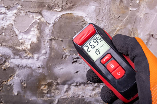Best Mold Removal Company Near Me  in Orange, CA
