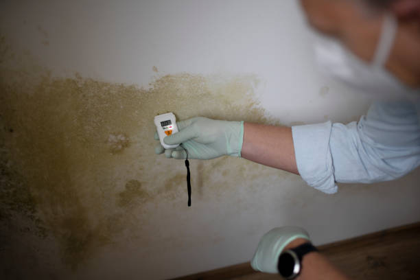 Best Mold Testing  in Orange, CA