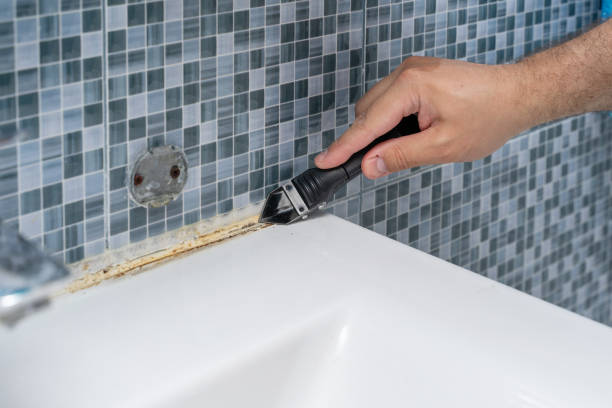 Orange, CA Mold Removal Pros