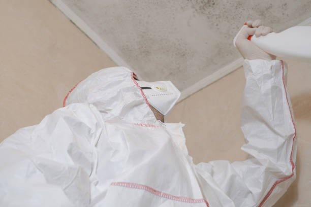 Best Mold Remediation Services  in Orange, CA