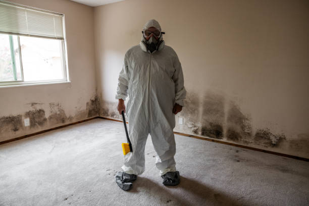 Best Crawl Space Mold Removal  in Orange, CA